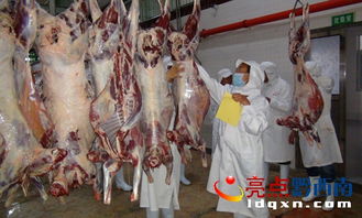 晴隆电力赋能，海权牛肉加工厂奏响品牌发展新篇章