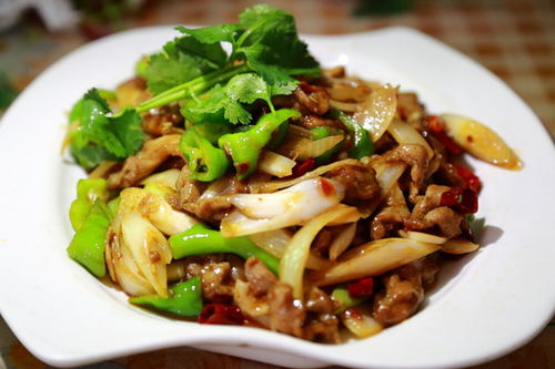 美味瞬间 牛肉与羊肉的视觉盛宴——中国菜系餐饮图片素材下载指南