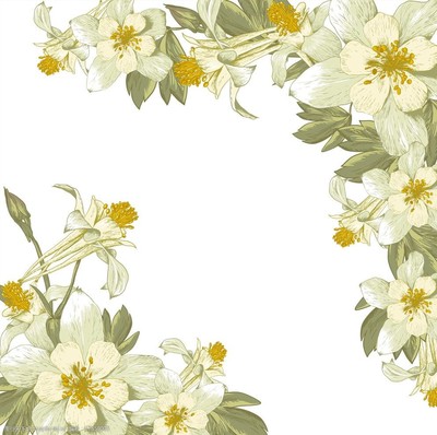 手绘花卉与牛肉 艺术与美食的交融