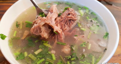 炖羊肉汤先焯水还是直接炖？大厨教你正确做法，汤白肉嫩不膻，香！